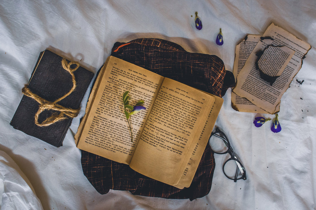 Whispers of Romance Exploring New Love Stories